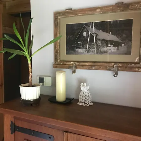 Przystanek Izery Apartman *